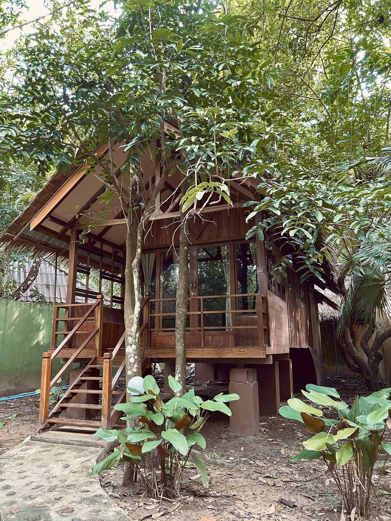 Jungle House