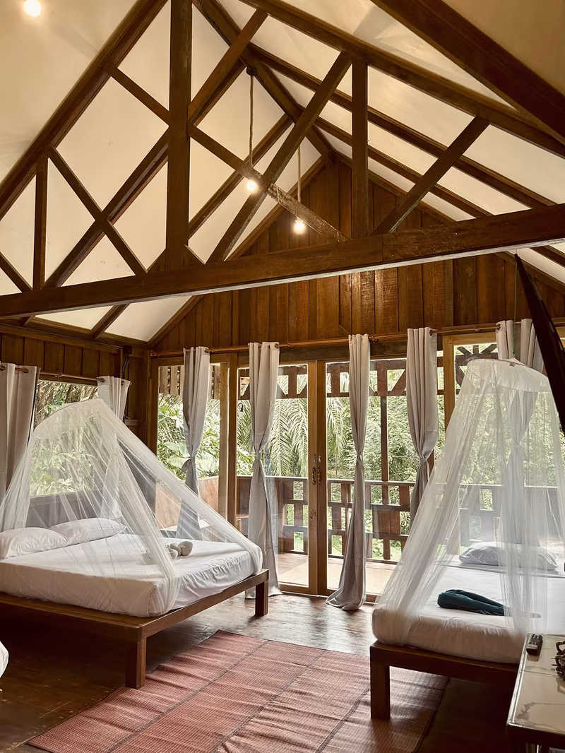 Treetop Mansion