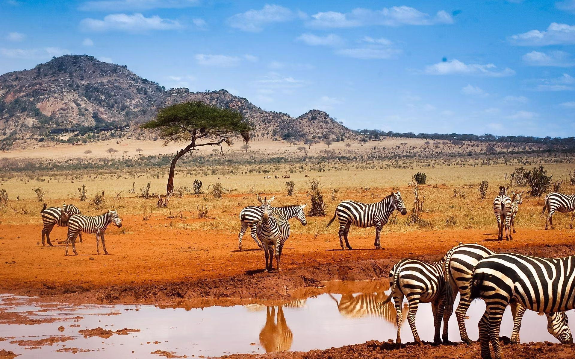 Namibie en 4x4 privé - Luxe