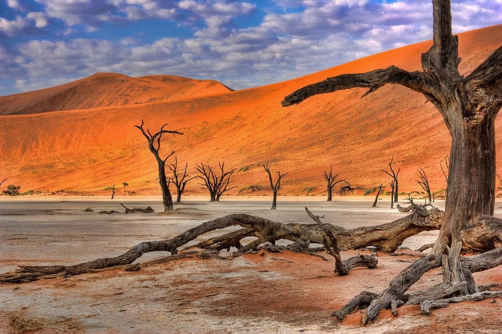 Désert du Namib et Sossusvlei